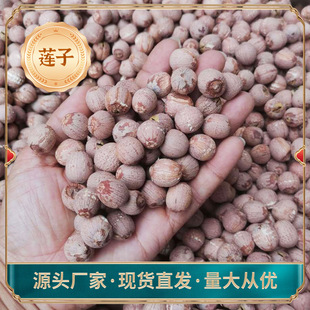 �����خa�V����ɏ�tƤ��ɏ���ϸ���ɏ�Ӯa��ֱ���S�����r�tɏ��