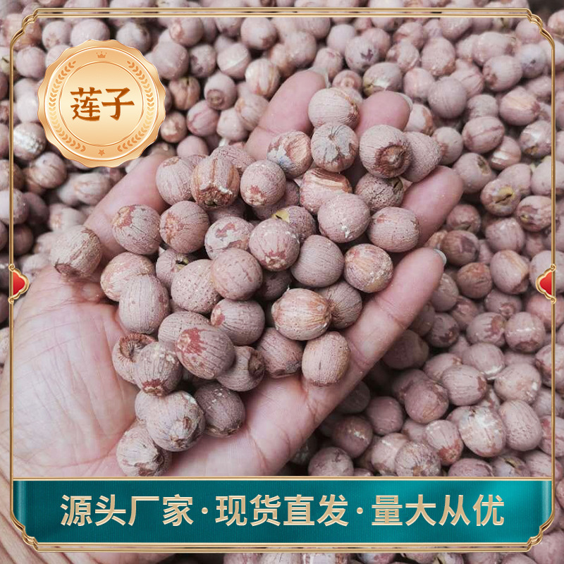 江西特产广昌白莲红皮湘莲湖南福建莲子产地直供养生佳品厂家新鲜
