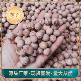 江西特产广昌白莲红皮湘莲湖南福建莲子产地直供厂家新鲜红莲子