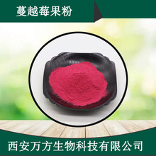 蔓越莓果粉万方现货水溶性蔓越莓汁粉量大从优批发速溶蔓越莓粉