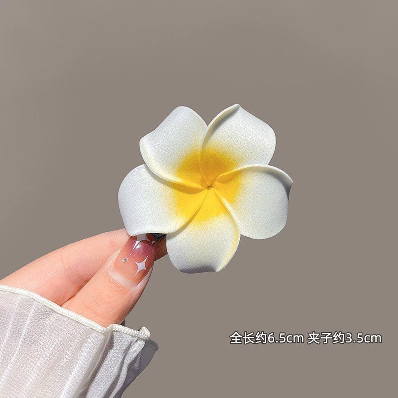 Заколка, аксессуар для волос для фотосессий, челка, шпильки, цветочные