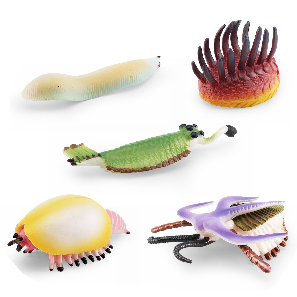 Simulación cámbra animal marino antiguo weiwasia insecto obabin mar escorpión recogida insecto modelo adornos estáticos