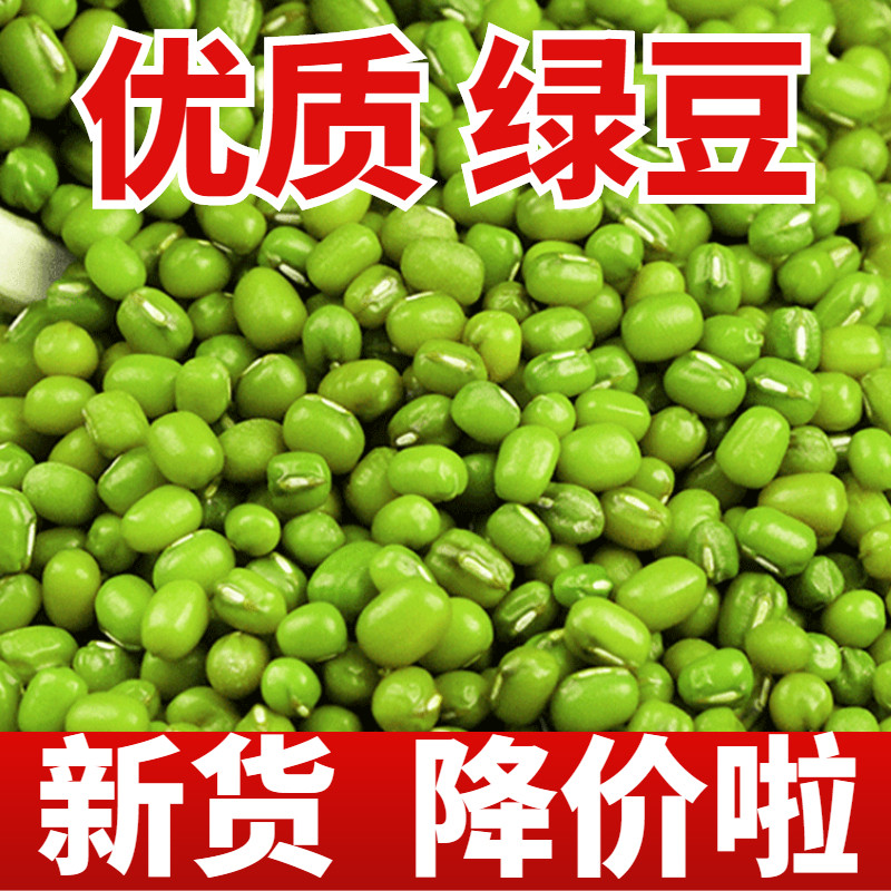 绿豆5斤新鲜农家绿豆新货绿豆汤粥糕原料可发芽绿豆
