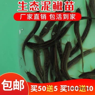 ���q���r��ι�B������~���~���D����������q�Bֳ��ˮ�^�p�~���