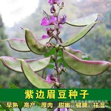 ߅üN߅ⶹiļײN\ݔ߮a߲˷N