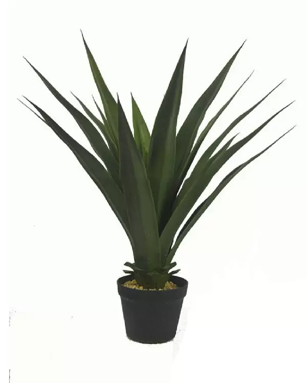 仿真绿植盆景剑麻大叶剑兰沙漠植物热带橱窗造景装饰假植物现货
