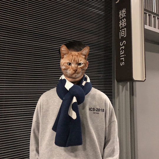 Christmas Scarf Men's Korean Style Fashion Student Wool Thickened Warm Boyfriend New Year Gift Couple Scarf