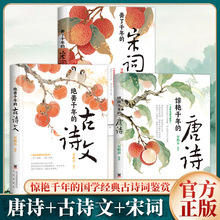 绝美千年的古诗文惊艳千年的唐诗美了千年的宋词正版唐诗宋词全集