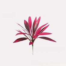�羳�¿�Artificial Ti Plant�����ֲ��������ľ��Ѫ��