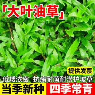 ���ڴ��~�ͲݷN��ͥԺ�G����̺�ݷN�Ѱ������޼��ļ������ƺ����