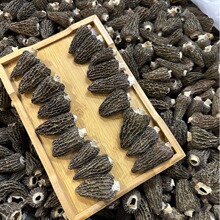 ���l2025����؛�д���Ǿ�