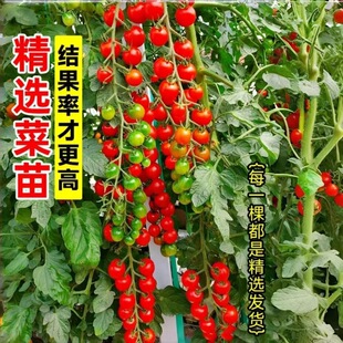 ������N�Ӵ����t���N�Ѳ��������߲���С��������ǧ���}Ů������