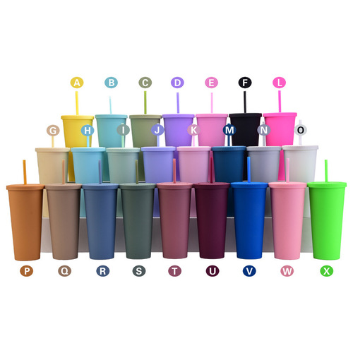 Cross-border direct supply double-layer plastic straw cup customized simple 24OZ large capacity water cup frosted cup