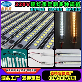 LED室内屏;LED硬灯条;其他LED光源