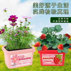 Children's DIY Handmade Green Plant Small Flower Farmer Kindergarten Potted Tomato Strawberry Planting Toy for Girls Creative Gift