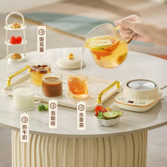 Health Pot Household Multifunctional Small Tea Maker Office Automatic Glass Flower Tea Mini Stew Pot Wholesale