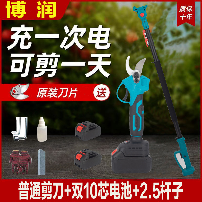 プロの国境を越えた電動剪定鋏、リチウム電池剪定鋏、庭の果樹の果実の枝はさみ、園芸の枝剪定電動工具|undefined