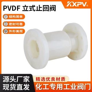 凯鑫KXPV厂家现货PVDF立式止回阀 塑料化工阀门 工业用PVDF止回阀