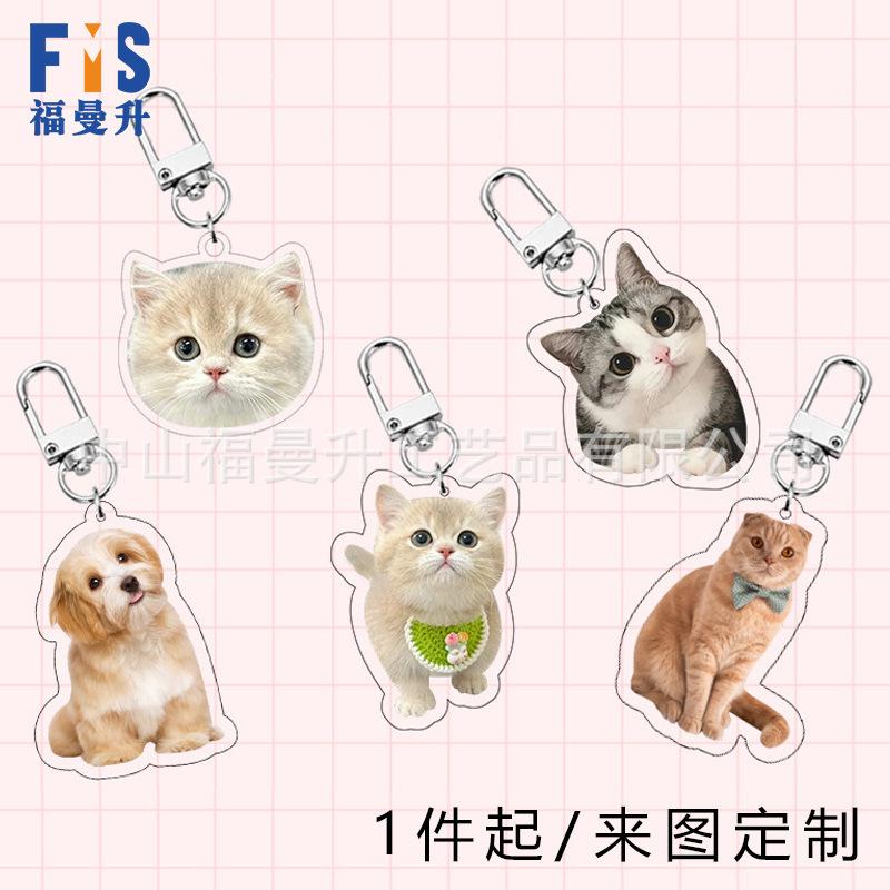 Cross-Border Personalized Acrylic Photo Keychain Customized Etsy Popular Pod Pet Cat and Dog Keychain Pendant
