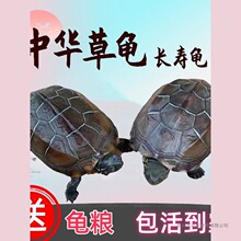 ���A�����������������Ʒ�����L�����^�p��ī����������С����