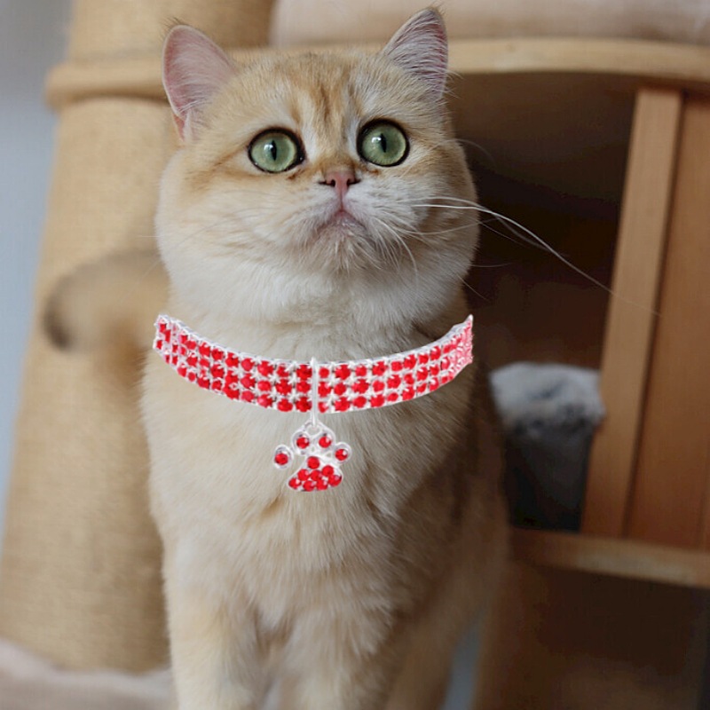 23g Weight Pet Collar Type Of Pet Supplies 1 Piece Quantity Holiday, Daily Occasion Alloy Material Solid Color Pattern All Seasons Season Simple Style, Classic Style Style Simple Style Classic Style Alloy Solid Color Pet Collar 9