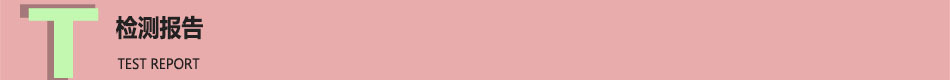 检测报告