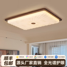 йL픟2025¿ʽLľɫδWҲ͏d