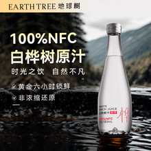 地球树白桦树汁原汁精选原液长白山白桦树汁纯木本植物饮桦树水
