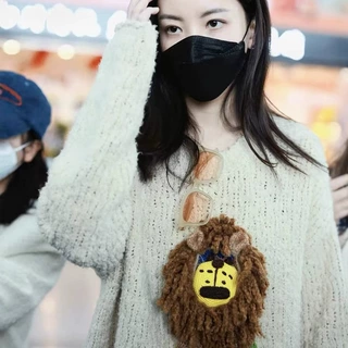 百搭针织毛衣女2024秋冬新慵懒风手勾狮子小众设计宽松衬衫圣诞