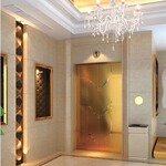 别墅电梯--小型家用梯--欧利亚厂家直销--小型观光梯