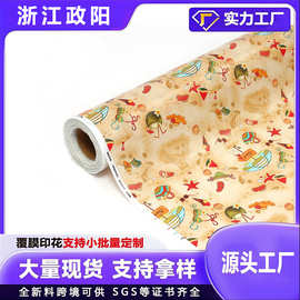 源头工厂纺粘无纺布覆膜印花无纺布PP丙纶无纺布纺粘非织布材料家