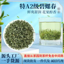 2025年新茶明前头采上等碧螺春茶叶 高山云雾绿茶批发 碧螺春春茶