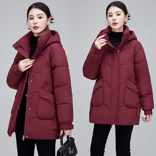 �������ꋌ����q������������ů�����qŮʿ�r���Bñ����