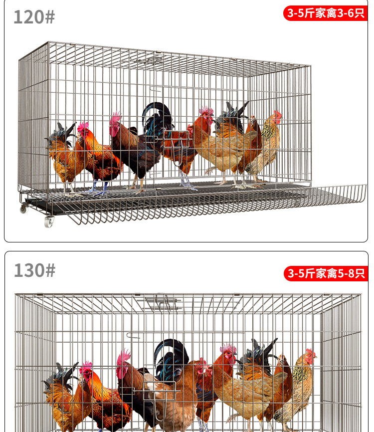 鸡笼子建模_17