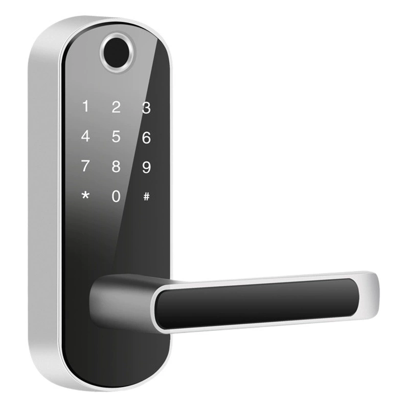 Трансграничная внешняя торговля Одноязычный замок отпечатков пальцев Крытая деревянная дверь без открывания отверстия кодовый замок B & B Smart Lock APP удаленный производитель