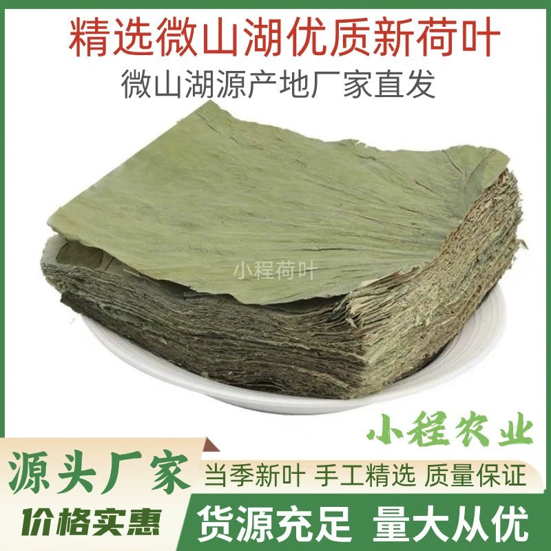 Квадратный лист лотоса для клейкого риса с курицей, натуральный сушеный лист лотоса на озере Вэйшань для чая, пароварка зонгзи, свежий сушеный лист лотоса для коммерческого использования.