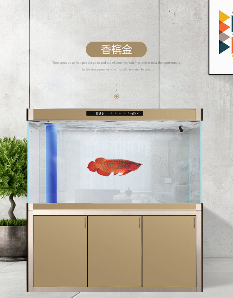 55275ca3-d749-4c99-ba64-7077594efdfa.jpe