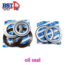 �S���N��BPW���ͷ� ��܇�ͷ��ʽ܇���ͷ��ͷ����ͷ⿂��Oil seal