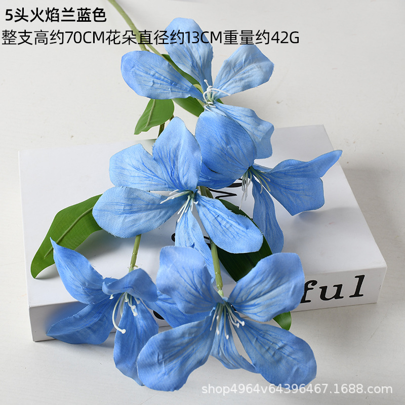 5 헤드 플레임 블루