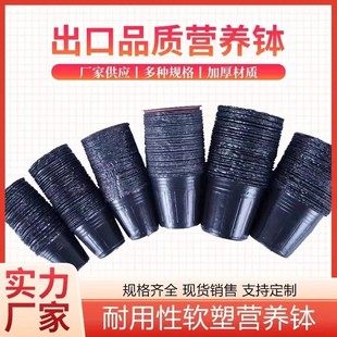 ����Ʒ�|�I�B���������籭������o�����Ӻ���Ѩ�P������