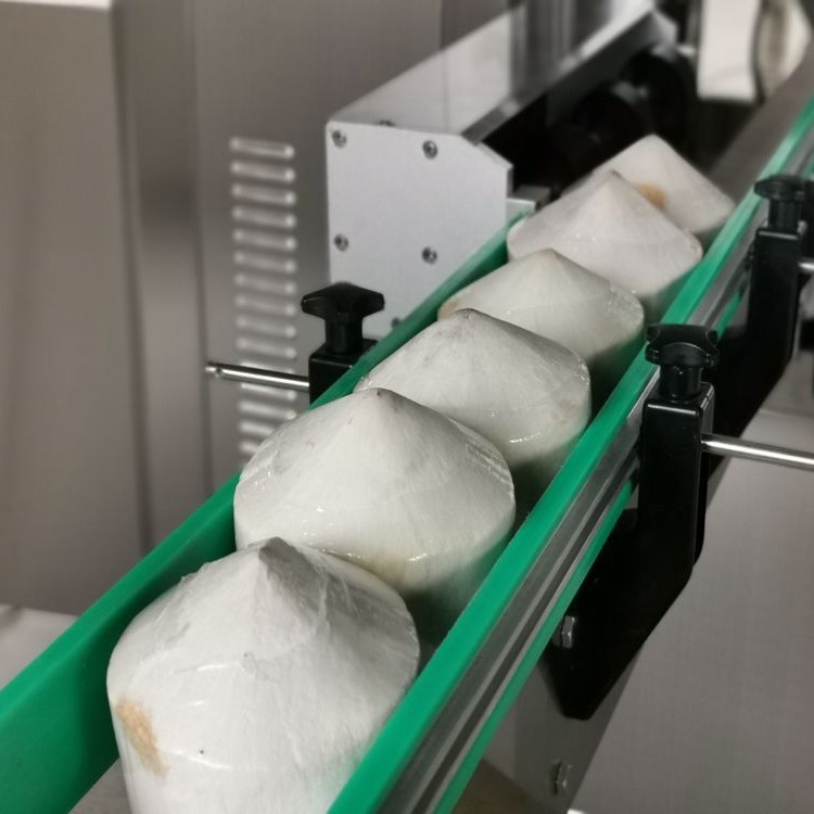 供应椰青套标机椰子套标机水果套膜机 蒸汽式收缩机定制输送模具