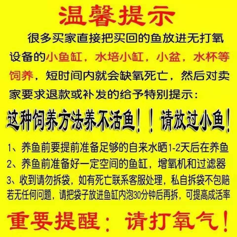 bbbc3595-4d25-4c79-9910-db85e7116ee2.jpe