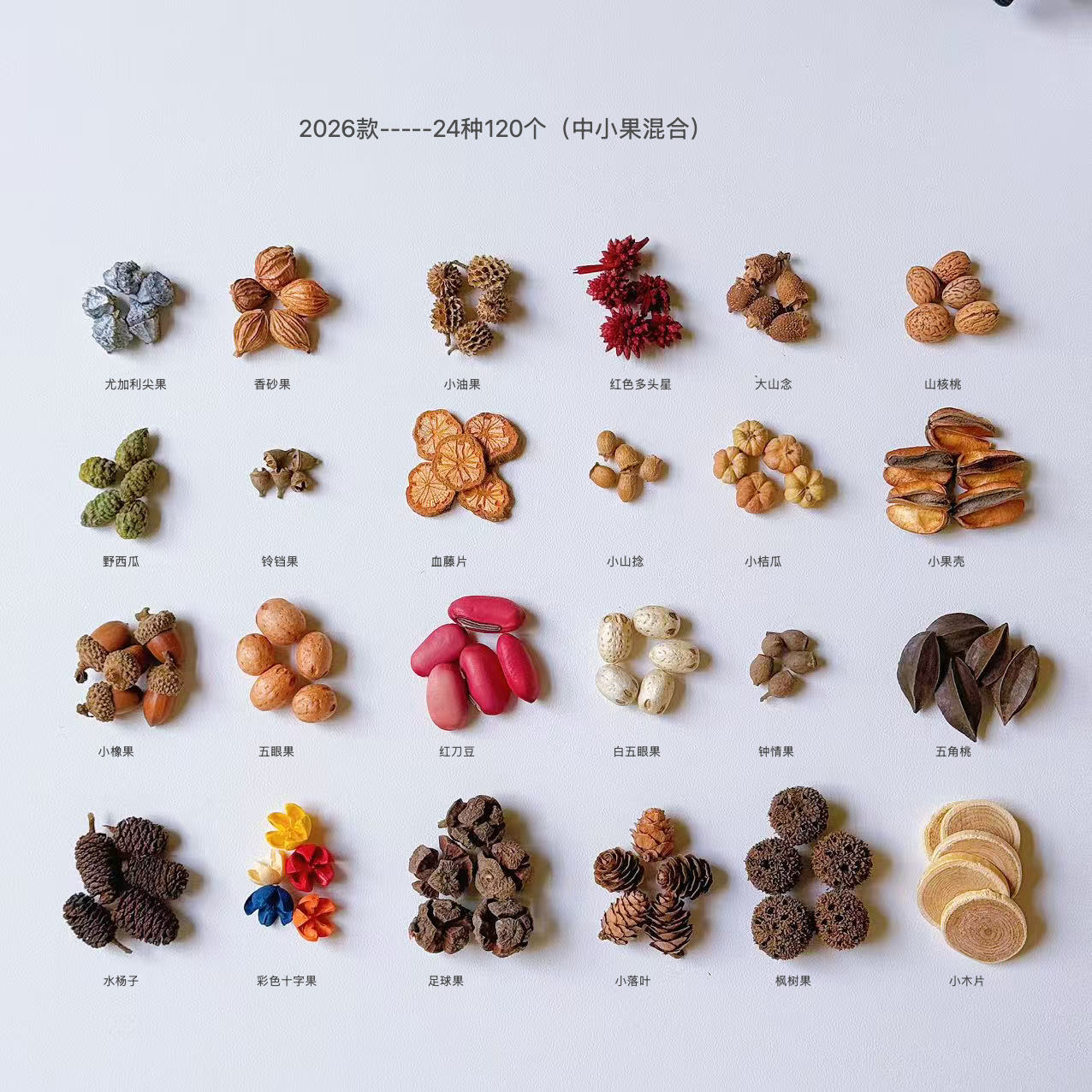 天然植物干果壳松果标本材料装饰干花拍照幼儿园diy圣诞材料包