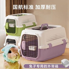 С���ӌ����⎧�䎧�����b��������؈���m�i�Ļ\��������@����g