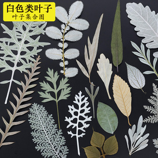 ����diy�ɻ��������ϰ���ͯ�ֹ����z�滨���~ֲ���Ѻ�������b�