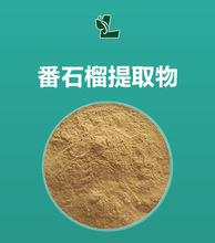 番石榴提取物 50:1 番石榴比例萃取原料 1kg起 現貨批發 番石榴粉