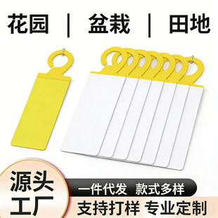�羳؛Դ���hճ�x�����x�����ω�T����ճ�x�S���p���N��x��Gֲ