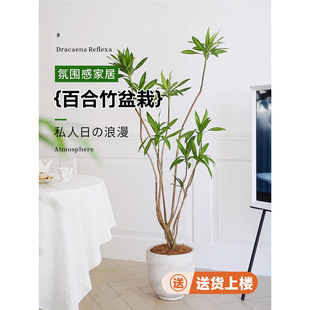 �ٺ�����Gֲ�������滨С���缚�~�Ϙ�����߶��҃ȿ͏d�[���p��