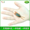 Simulated cockroach (2.5*6cm)