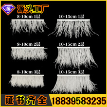 《支持拿样》6-18cm鸵鸟毛布边羽毛织带服装辅料羽毛带花边现货